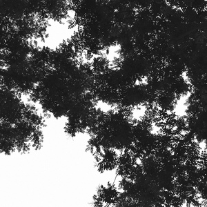 男生互嗦鸡吧暗夜男同学的性爱之恋泡芙短视频
